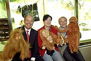 Harald Strötgen, Vorstandsvorsitzender der Stadtsparkasse München (links), Bürgermeisterin Christine Strobl und Prof. Dr. Henning Wiesner, Vorstandsvorsitzender des Tierparks Hellabrunn, freuen sich über das von der Stadtsparkasse geförderte Orang-Utan-Paradies. ©Fotos: Stadtsparkasse München